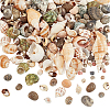 PandaHall Elite 300G 15 Styles Natural Mixed Shell Beads SSHEL-PH0001-24-1