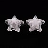Transparent Acrylic Beads TACR-S152-11A-06-2