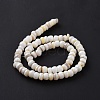 Natural Cultured Freshwater Shell Beads Strands SHEL-F002-01D-4