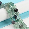 Natural Rainbow Fluorite Bead Strands G-P255-01-8mm-8
