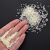 13/0 Glass Seed Beads SEED-T005-14A-A07-6