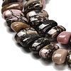 Natural Rhodonite Beads Strands G-Q167-B07-01-4