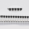 304 Stainless Steel Rhinestone Strass Chains STAS-T055-01P-1