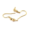 304 Stainless Steel Earring Hooks STAS-G310-24G-2