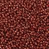 TOHO 11/0 Round Beads SEED-XTR11-PF2113-2