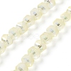 Electroplate Transparent Glass Beads Strands EGLA-I018-FR02-1