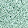 TOHO 11/0 Round Beads X-SEED-TR11-PF2118-2