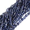 Natural Iolite Beads Strands G-O201B-02-1