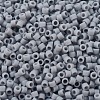 MIYUKI Delica Beads X-SEED-J020-DB1589-3