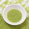 MIYUKI Delica Beads Small X-SEED-J020-DBS0147-2