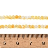 Natural Yellow Shell Beads Strands SHEL-M021-03A-4
