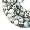Natural Tree Agate Beads Strands G-C267-A18-4