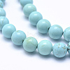 Natural Howlite Beads Strands X-TURQ-G148-07-8mm-3