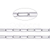 Tarnish Resistant 304 Stainless Steel Paperclip Chains CHS-F011-01A--P-1