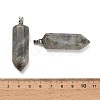 Natural Labradorite Pendants GG-CBAA0EE-02P-02-2