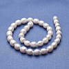 Natural Cultured Freshwater Pearl Beads Strands PEAR-P060-28B-01-2