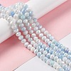 Ombre Effect Dyed Glass Beads Strands GLAA-C023-02A-2