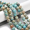 Dyed Natural Regalite/Imperial Jasper/Sea Sediment Jasper Beads Strands G-B124-C01-15-2