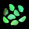 Transparent Acrylic Beads OACR-Z013-16-2