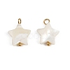 Natural Shell Star Pendants X1-STAS-D378-35G-1