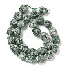 Natural Green Spot Jasper Beads Strands GG-CBAF8A8-A01-01-5