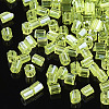 FGB Grade A Glass Seed Beads SEED-S022-03L-2