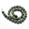 Natural Moss Agate Beads Strands X-G-D840-25-10mm-2