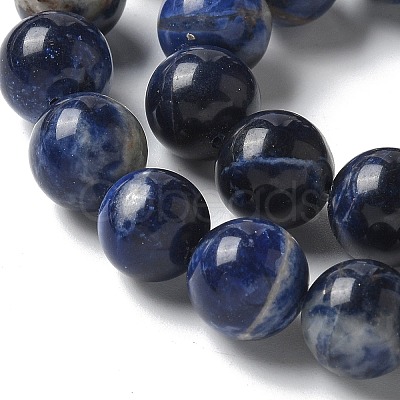 Natural South Africa Sodalite Beads Strands G-S259-35-10mm-1