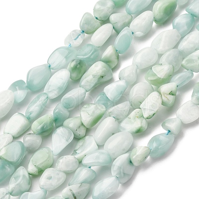 Natural Glass Beads Strands G-K395-A02-01-1