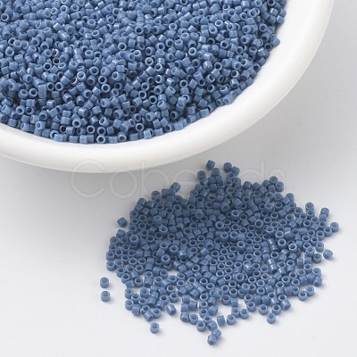 MIYUKI Delica Beads SEED-J020-DB2135-1
