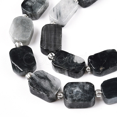 Natural Eagle Eye Stone Beads Strands G-C098-A16-01-1