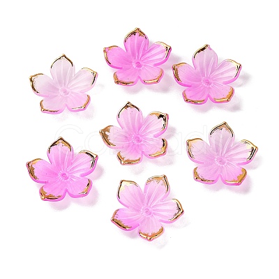 Transparent Acrylic Bead Caps TACR-P011-03F-1