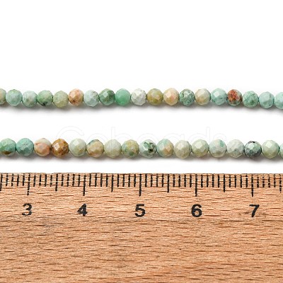 Natural Peruvian Turquoise(Jasper) Beads Strands G-A276-C13-3mm-1