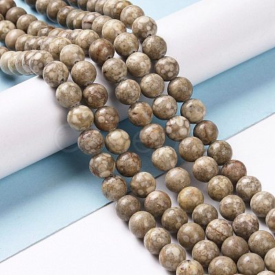 Natural Maifanite/Maifan Stone Beads Strands G-I187-6mm-01-1