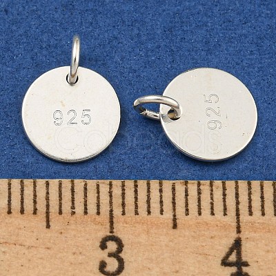 6Pcs 925 Sterling Silver Charms STER-BC0001-64-1