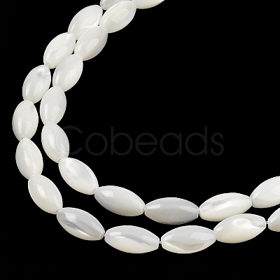 Natural Trochus Shell Beads Strands BSHE-G036-06B-1