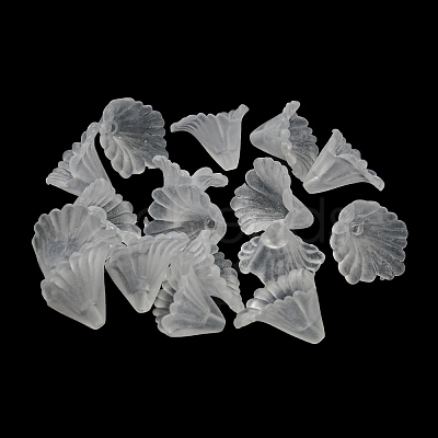 Transparent Acrylic Beads PL622-9-1