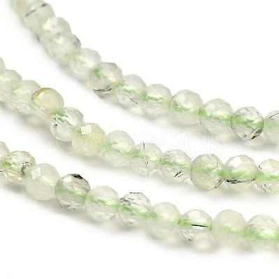 Natural Prehnite Beads Strands G-RM2025-34-2.5mm-1