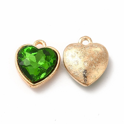 Faceted Glass Rhinestone Pendants GLAA-I051-B09-1