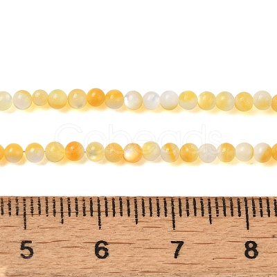 Natural Yellow Shell Beads Strands SHEL-M021-03A-1