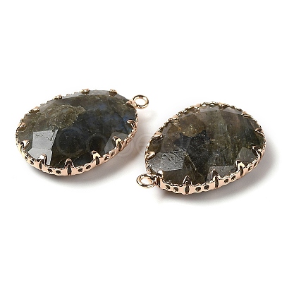 Natural Labradorite Faceted Pendants G-Q169-01G-03-1