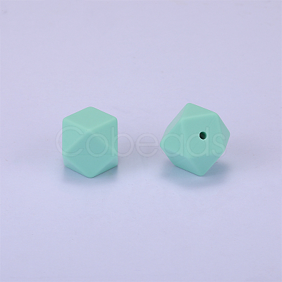 Hexagonal Silicone Focal Beads SI-JX0020A-93-1
