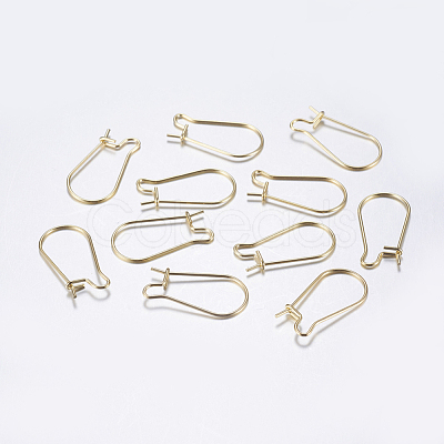 304 Stainless Steel Hoop Earrings X-STAS-L198-15B-G-1