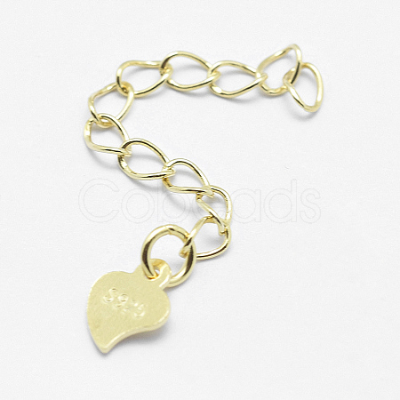 925 Sterling Silver Extender Chains STER-F032-10G-1