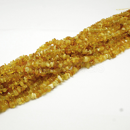 Natural Amber Chip Beads Strands G-E333-01B-1