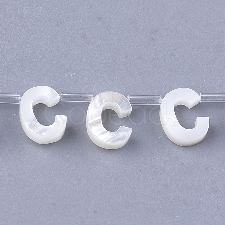 Natural Sea Shell Beads SHEL-T012-60C-1