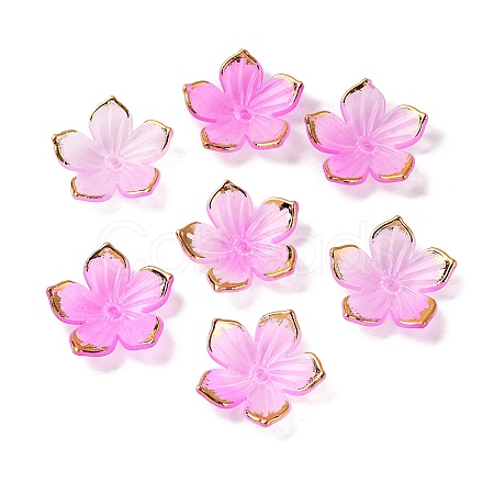 Transparent Acrylic Bead Caps TACR-P011-03F-1