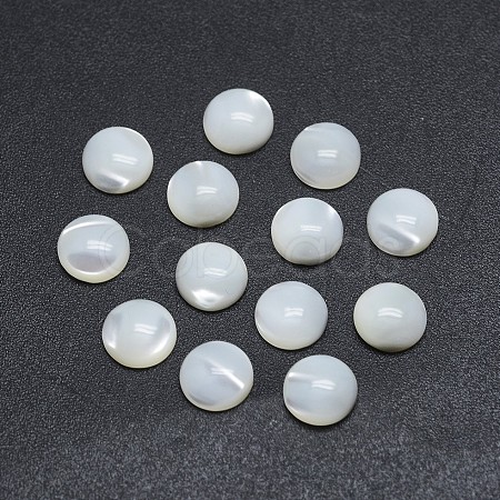 Shell Cabochons SSHEL-P015-61-6mm-1