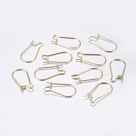 304 Stainless Steel Hoop Earrings X-STAS-L198-15B-G-1