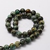 Natural African Turquoise(Jasper) Round Beads Strands X-G-E329-8mm-41-2